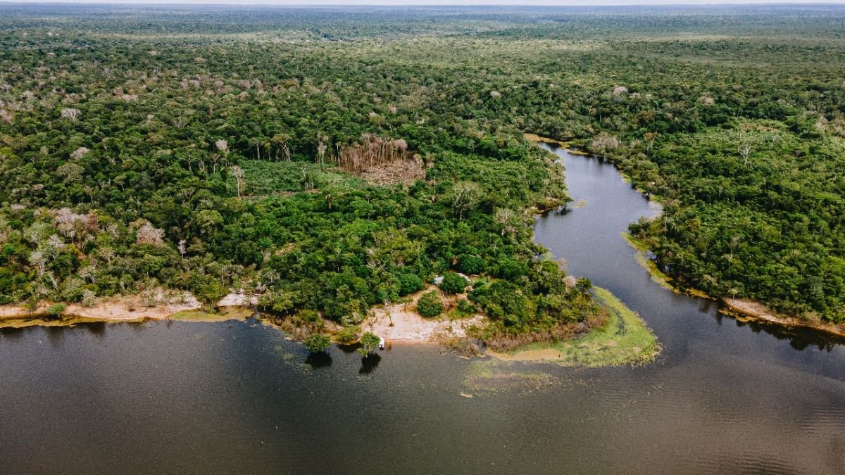 Tour Aromático da Amazônia - Foto Divulgação