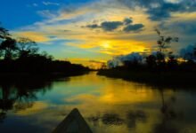 Amazônia-Foto-Amonitefoto-Divulgação-Canva
