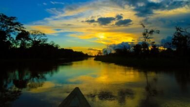 Amazônia-Foto-Amonitefoto-Divulgação-Canva