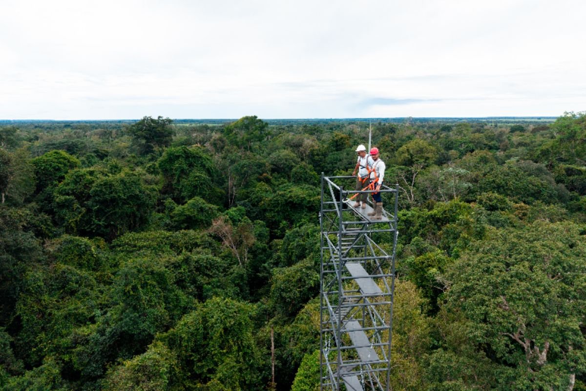O trabalho vai gerar dados inéditos sobre o papel da restauração florestal na Amazônia para a mitigação das mudanças climáticas.